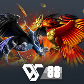 888v slot Sabong